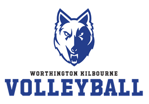 Volleyball logo
